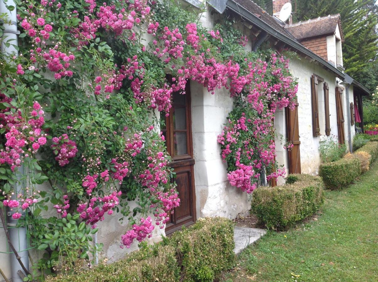 Gite O Beauval Villa Saint-Aignan  Exterior foto