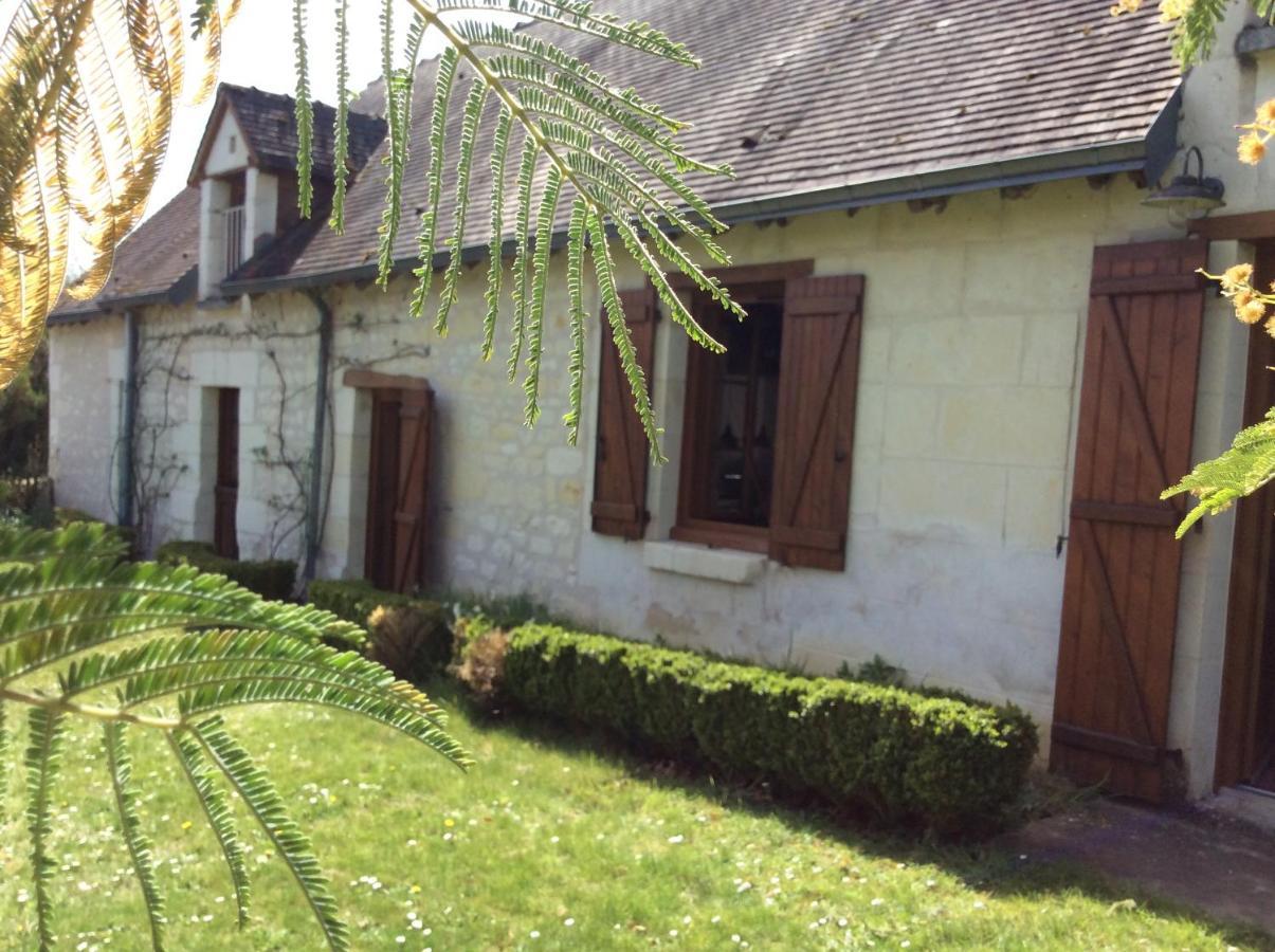 Gite O Beauval Saint-Aignan  Exterior foto